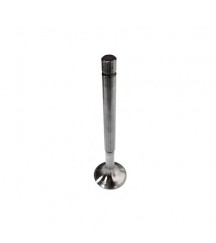 Exhaust valve 842080